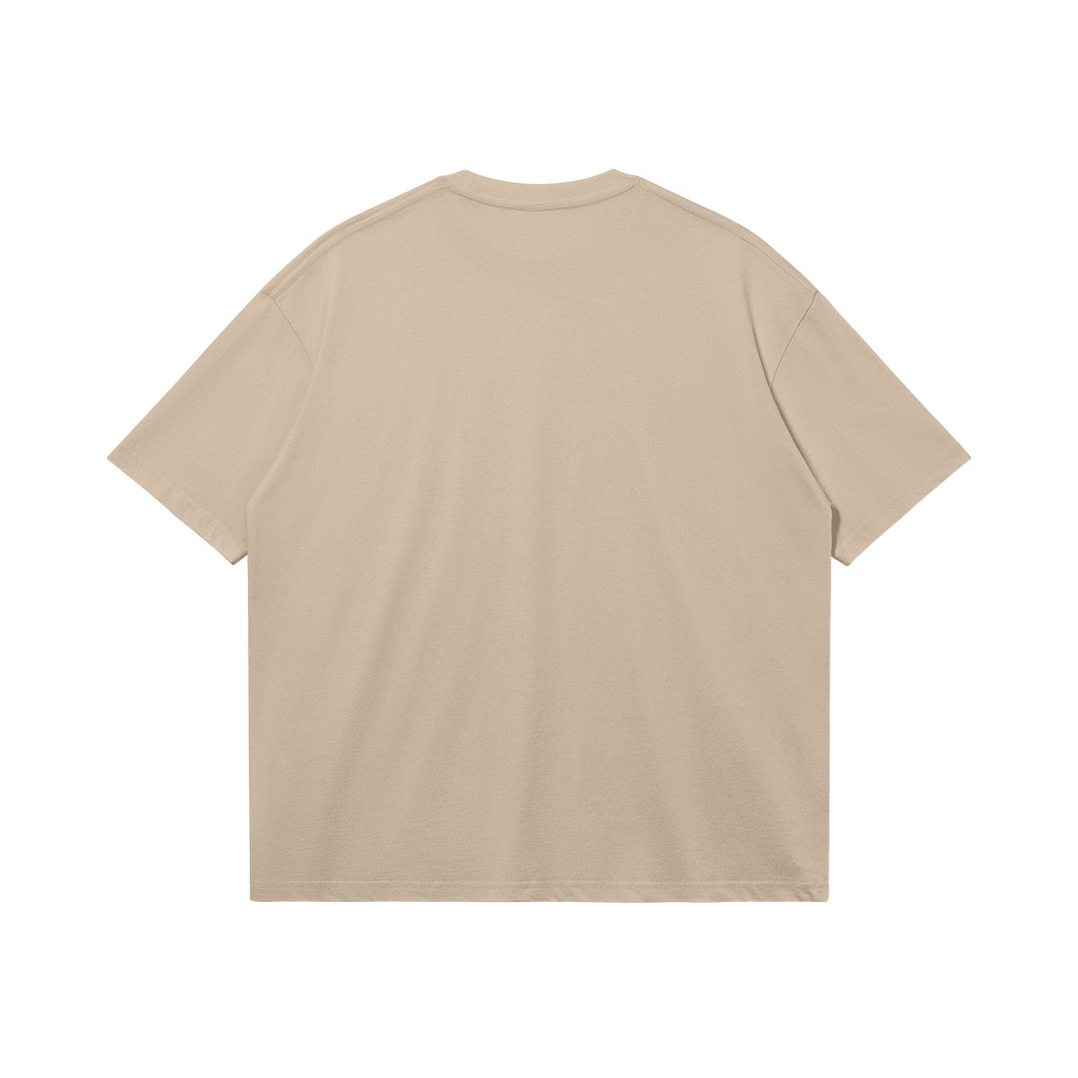 BACKBENCHER BOXY T-SHIRT