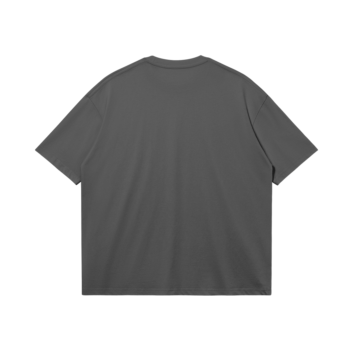 BACKBENCHER BOXY T-SHIRT